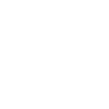 insurance icon