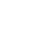 insurance icon