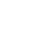 insurance icon