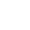 insurance icon