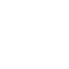 insurance icon