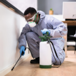 Pest Control