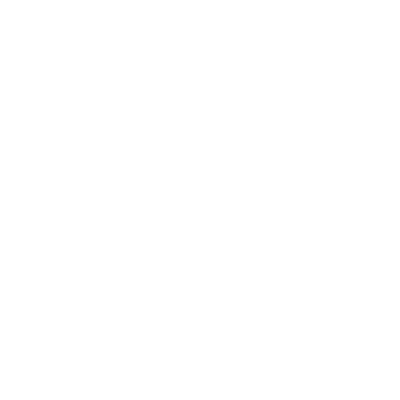 insurance icon