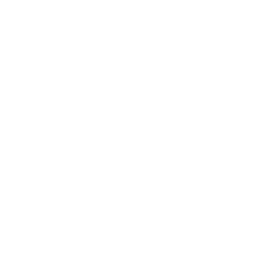 insurance icon