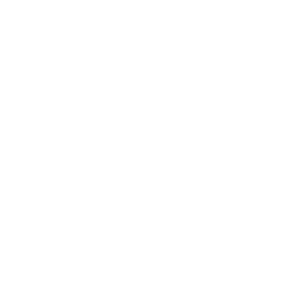insurance icon