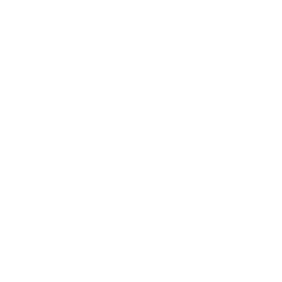 insurance icon