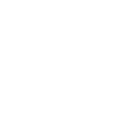 insurance icon