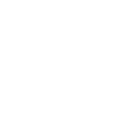 insurance icon