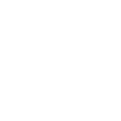 insurance icon