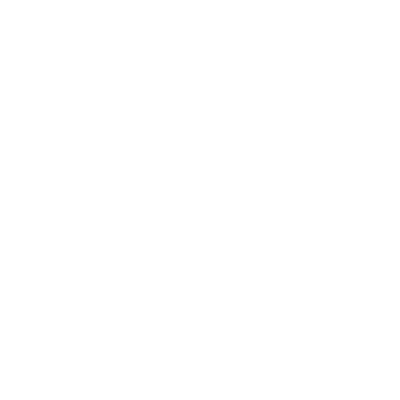 insurance icon