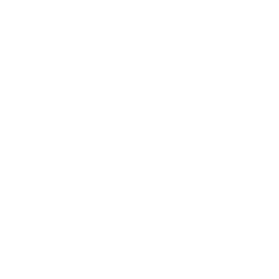 insurance icon