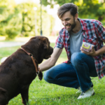 Dog Trainer