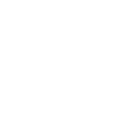 insurance icon