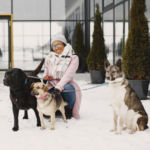 Dog Walking