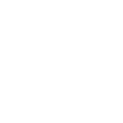 insurance icon