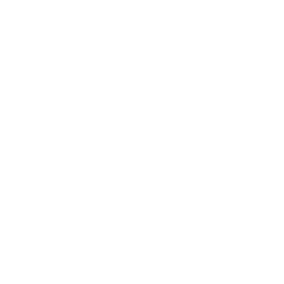 insurance icon