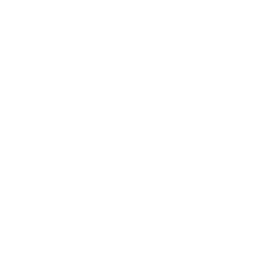 insurance icon