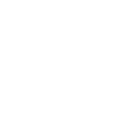 insurance icon