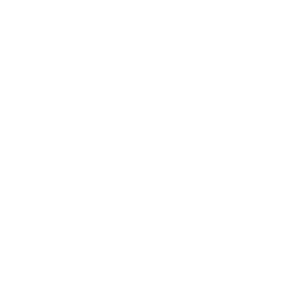 insurance icon