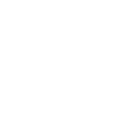 insurance icon