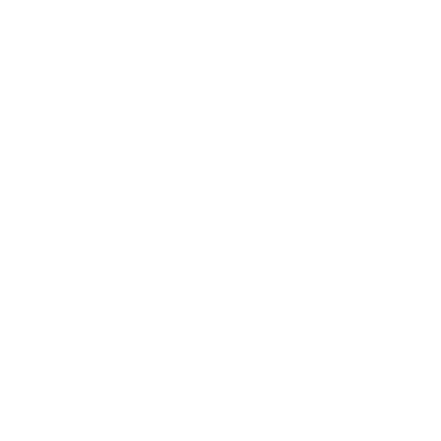 insurance icon