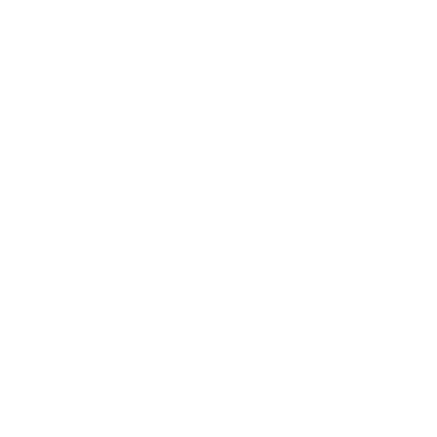 insurance icon