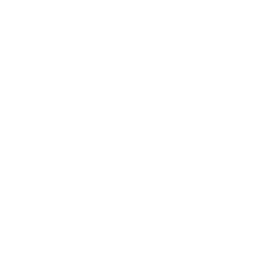 insurance icon