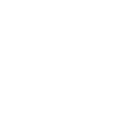 insurance icon