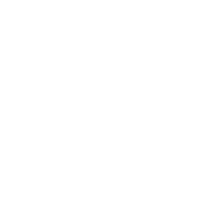 insurance icon