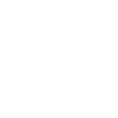 insurance icon