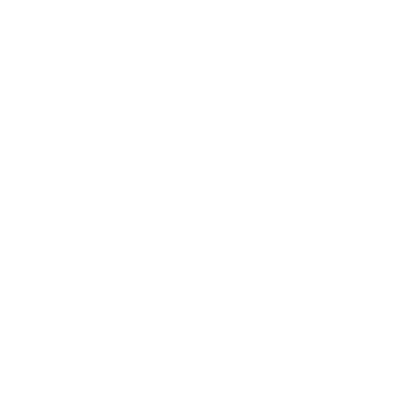insurance icon
