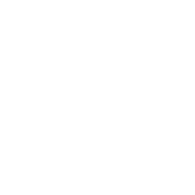 insurance icon