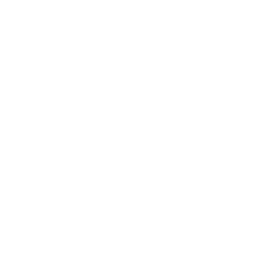 insurance icon