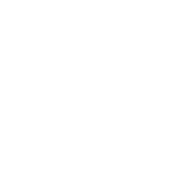 insurance icon
