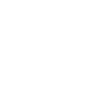 insurance icon