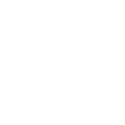 insurance icon