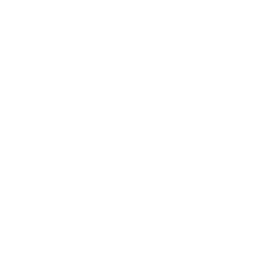 insurance icon
