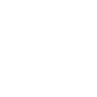 insurance icon