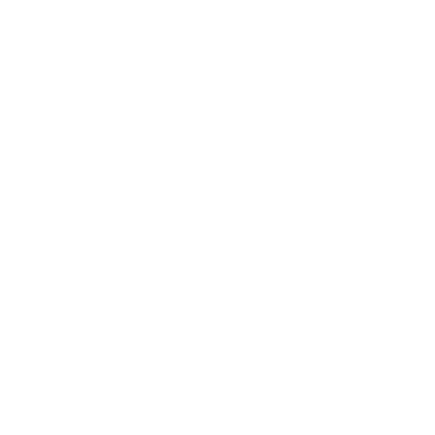 insurance icon