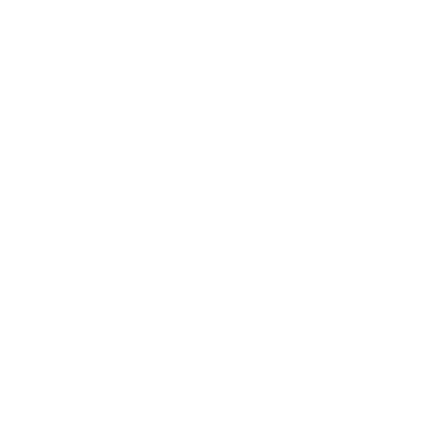 insurance icon