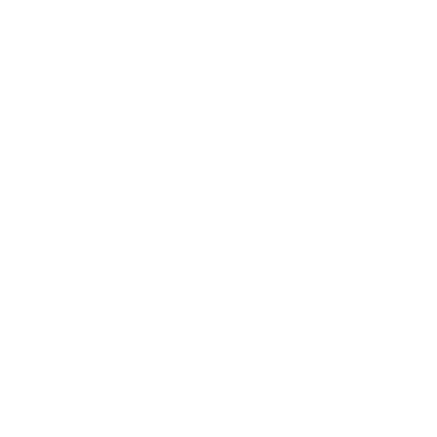 insurance icon