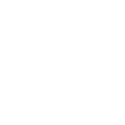 insurance icon