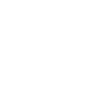 insurance icon