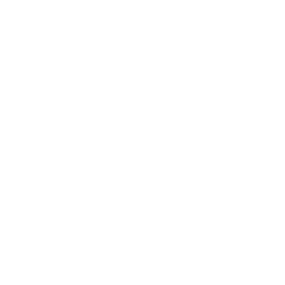 insurance icon