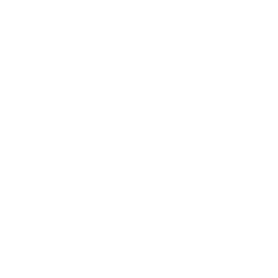 insurance icon