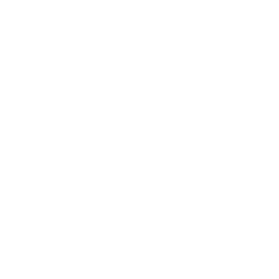 insurance icon