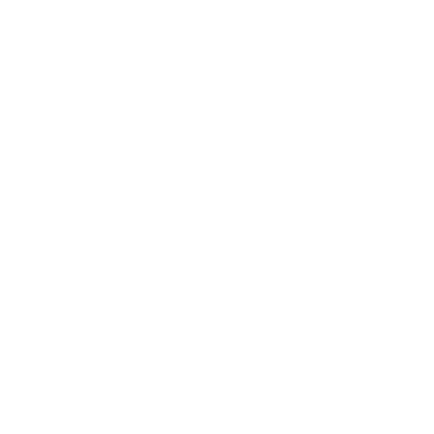 insurance icon