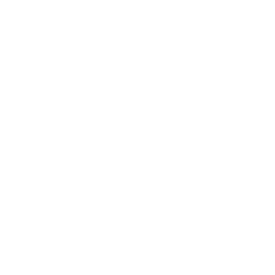 insurance icon