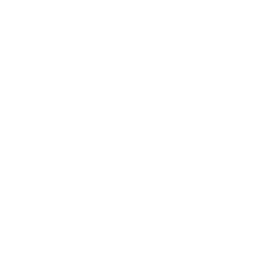 insurance icon