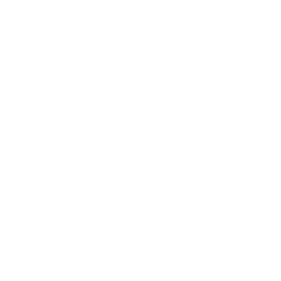 insurance icon